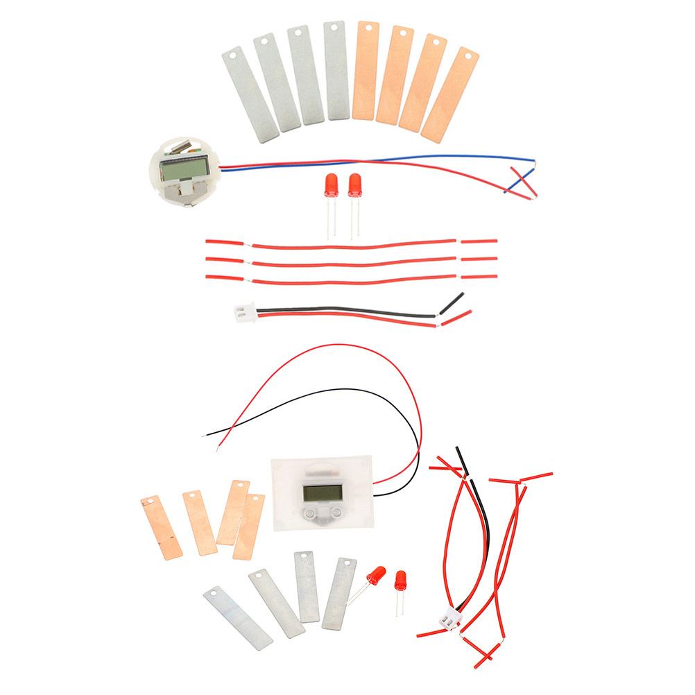 1Set Fruit Battery Science Exp - Science Project Physics recension och pris