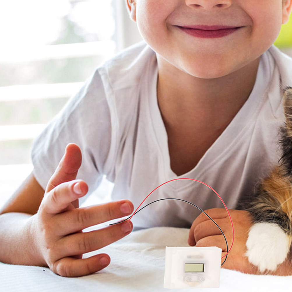 1Set Fruit Battery Science Exp - Science Project Physics recension och pris