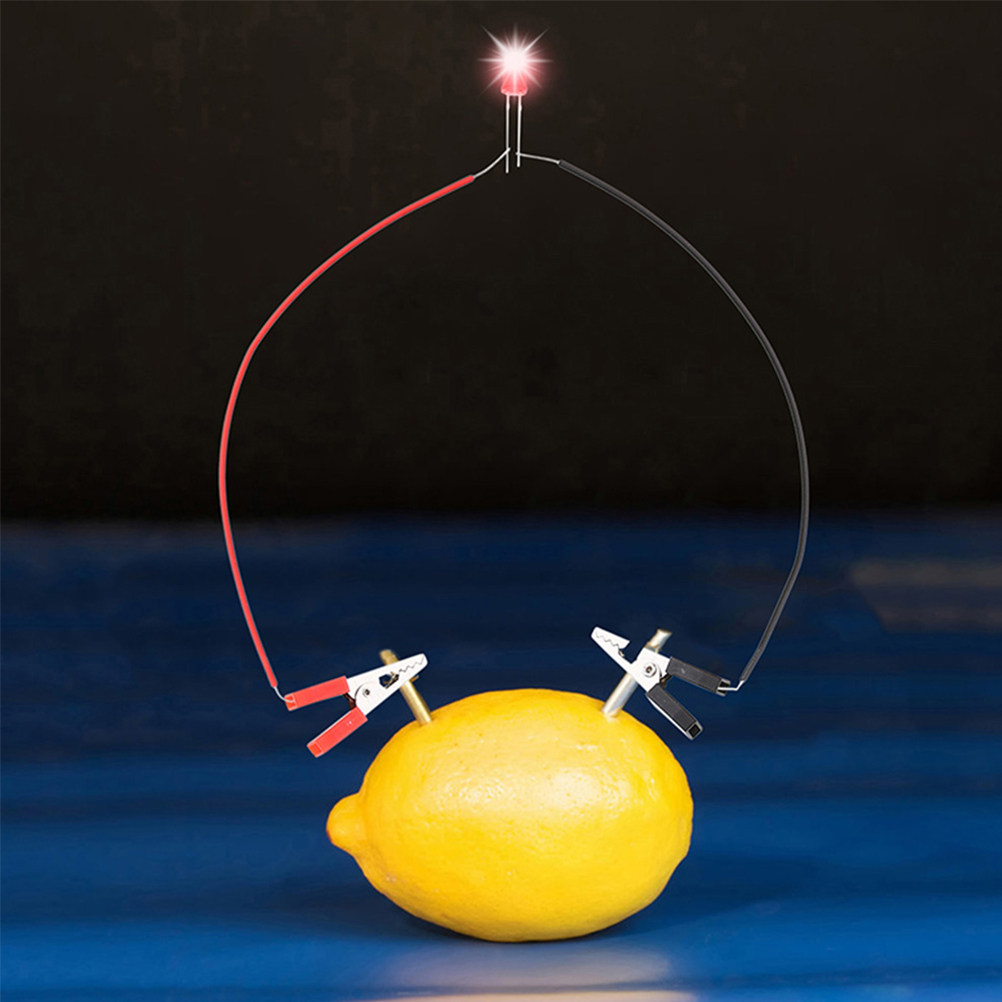 1Set Fruit Battery Science Exp - Science Project Physics recension och pris