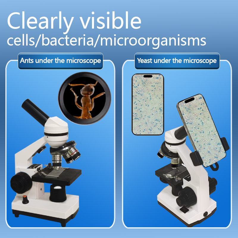 Portable Biological Optical Co - Microscope Compound 40X recension och pris