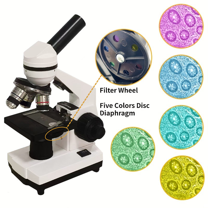 Portable Biological Optical Co - Microscope Compound 40X recension och pris