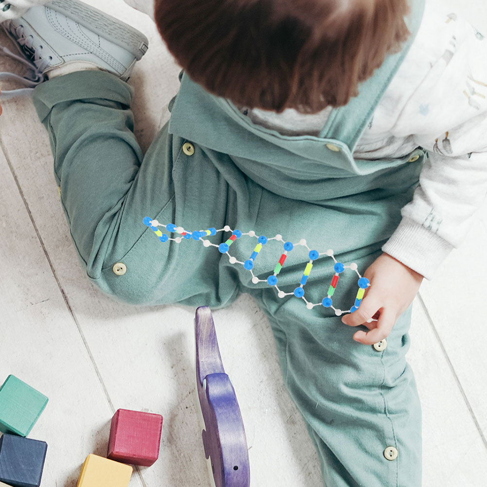 2Pcs Dna Double Helix Structur - Science Experiment recension och pris