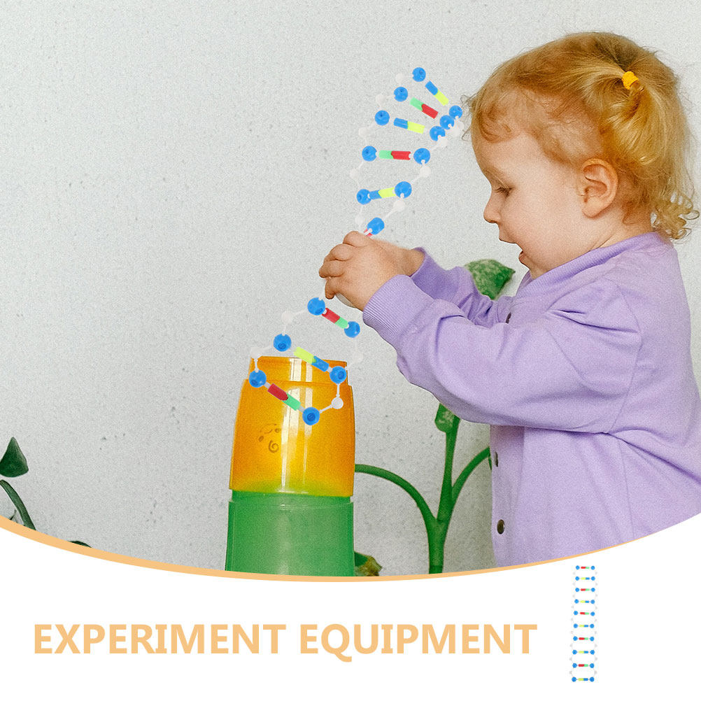 2Pcs Dna Double Helix Structur - Science Experiment recension och pris