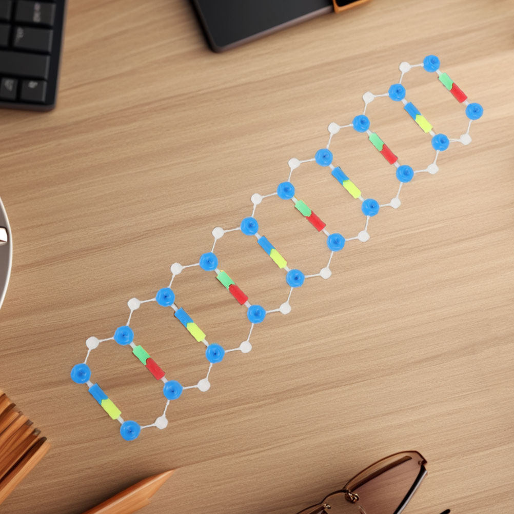 2Pcs Dna Double Helix Structur - Science Experiment recension och pris