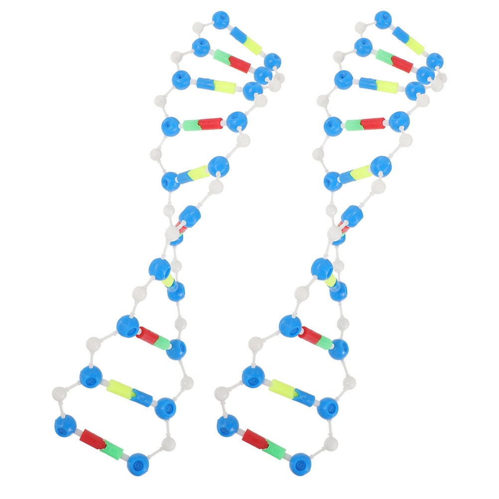 2Pcs Dna Double Helix Structur - Science Experiment recension och pris