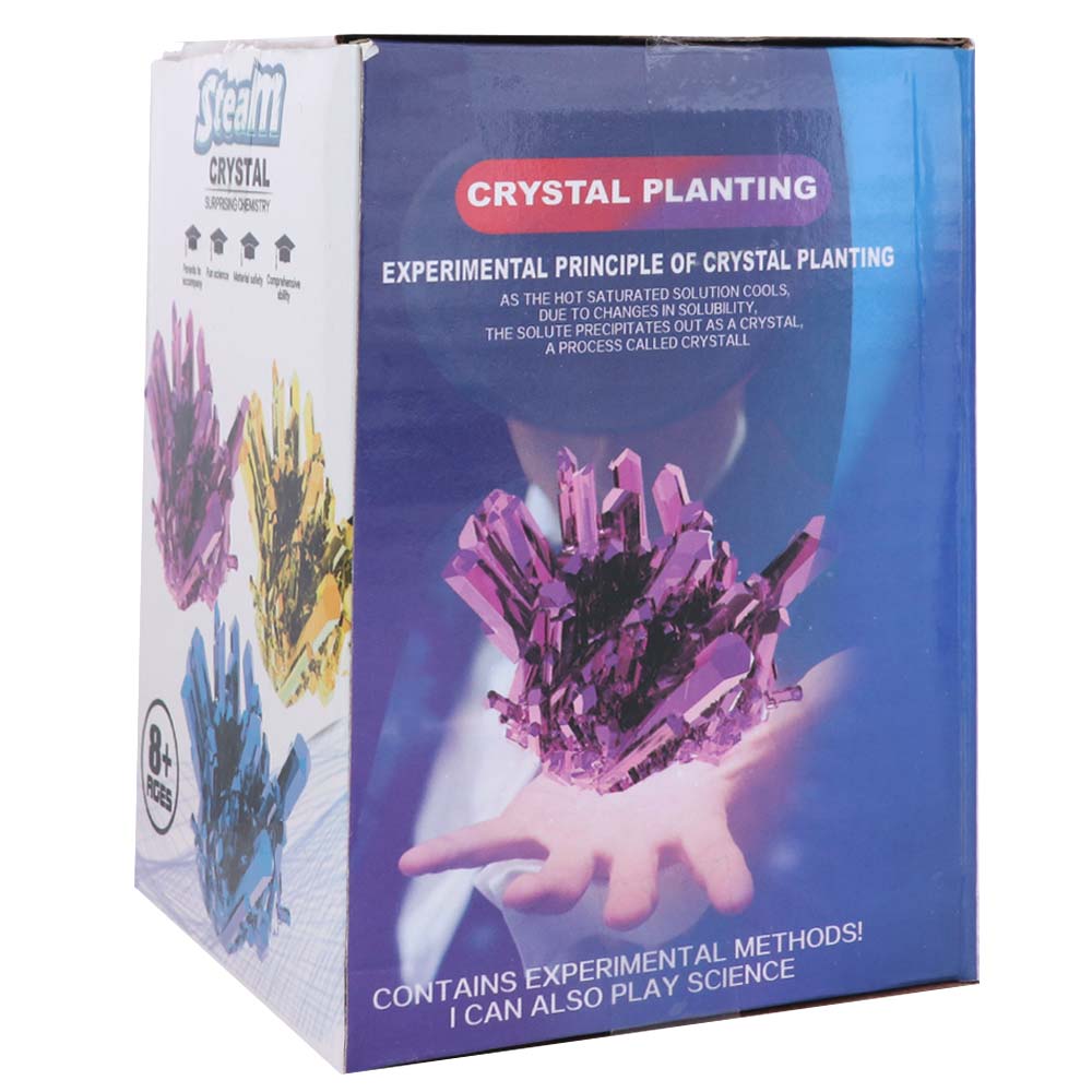 Grow a Crystal Crystal Growing - Science Toys Diy recension och pris