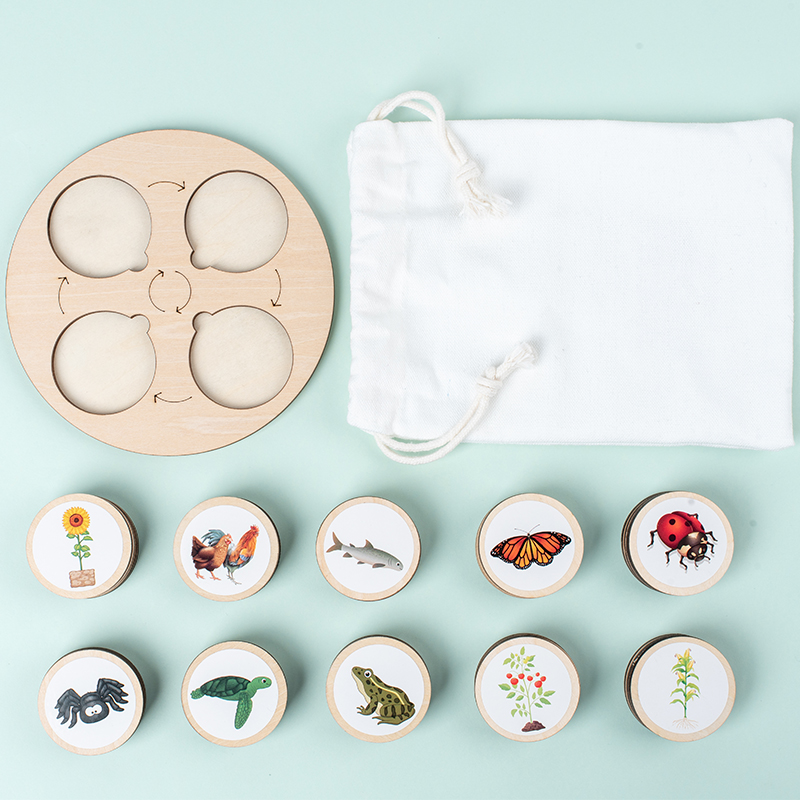 Life Cycle Board Montessori Ki - Science Nature recension och pris