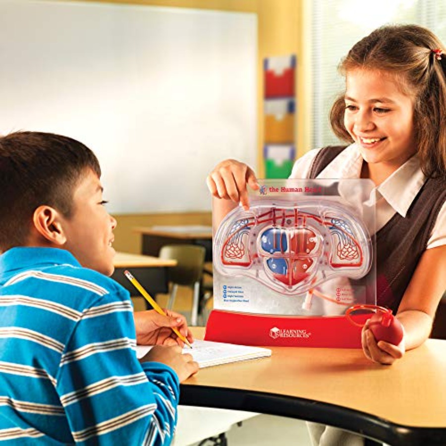 Science classroom STEM anatomy - Science Nature recension och pris