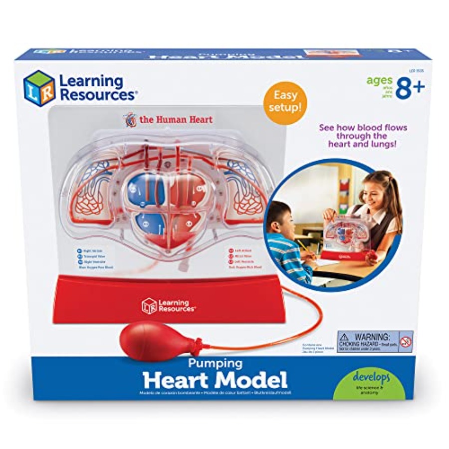 Science classroom STEM anatomy - Science Nature recension och pris